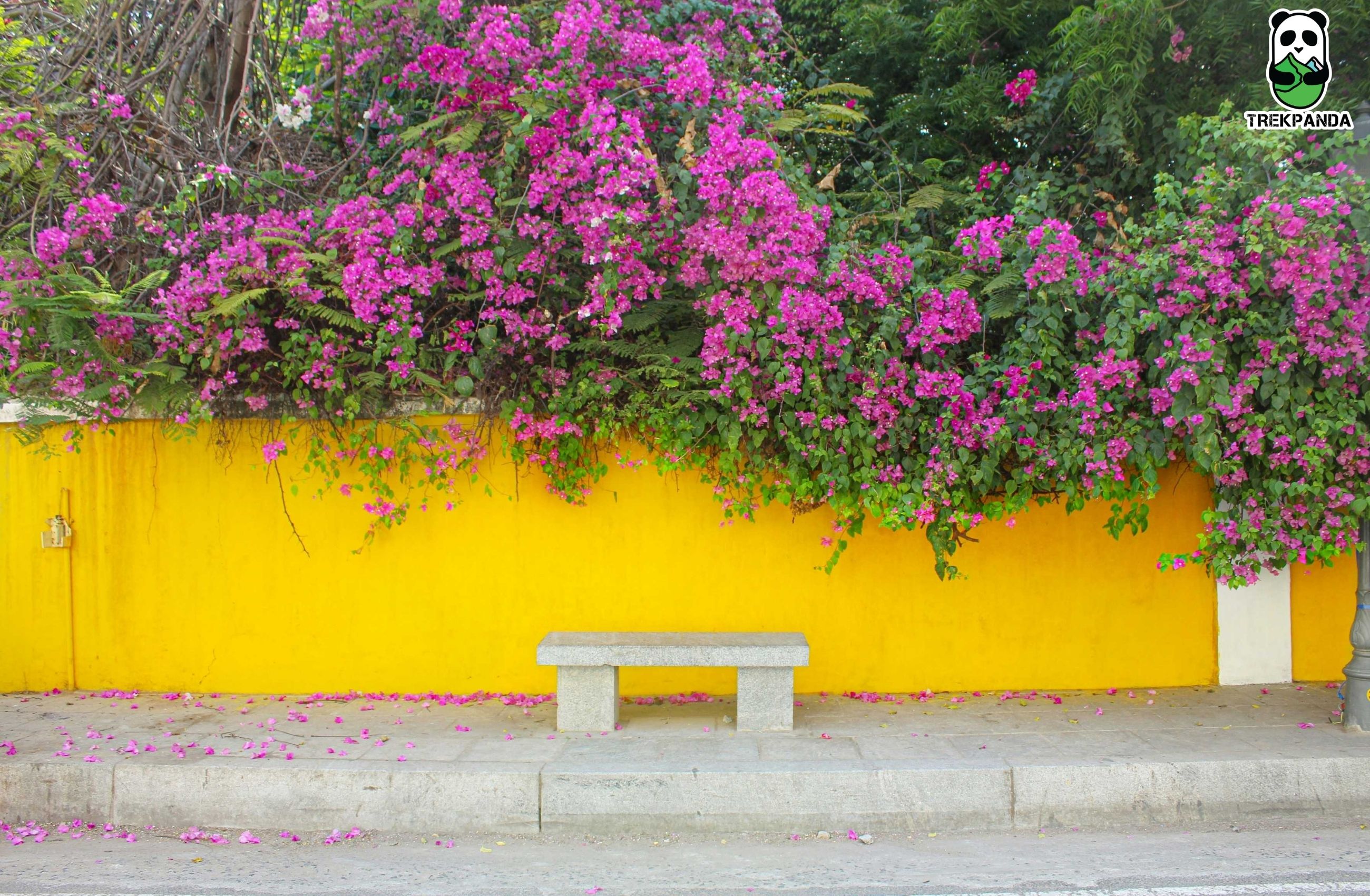 Pondicherry